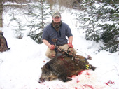 Russian Boar Hunt