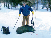 Wild Boar Hunt at Trophy Ridge Hunting Preserve.